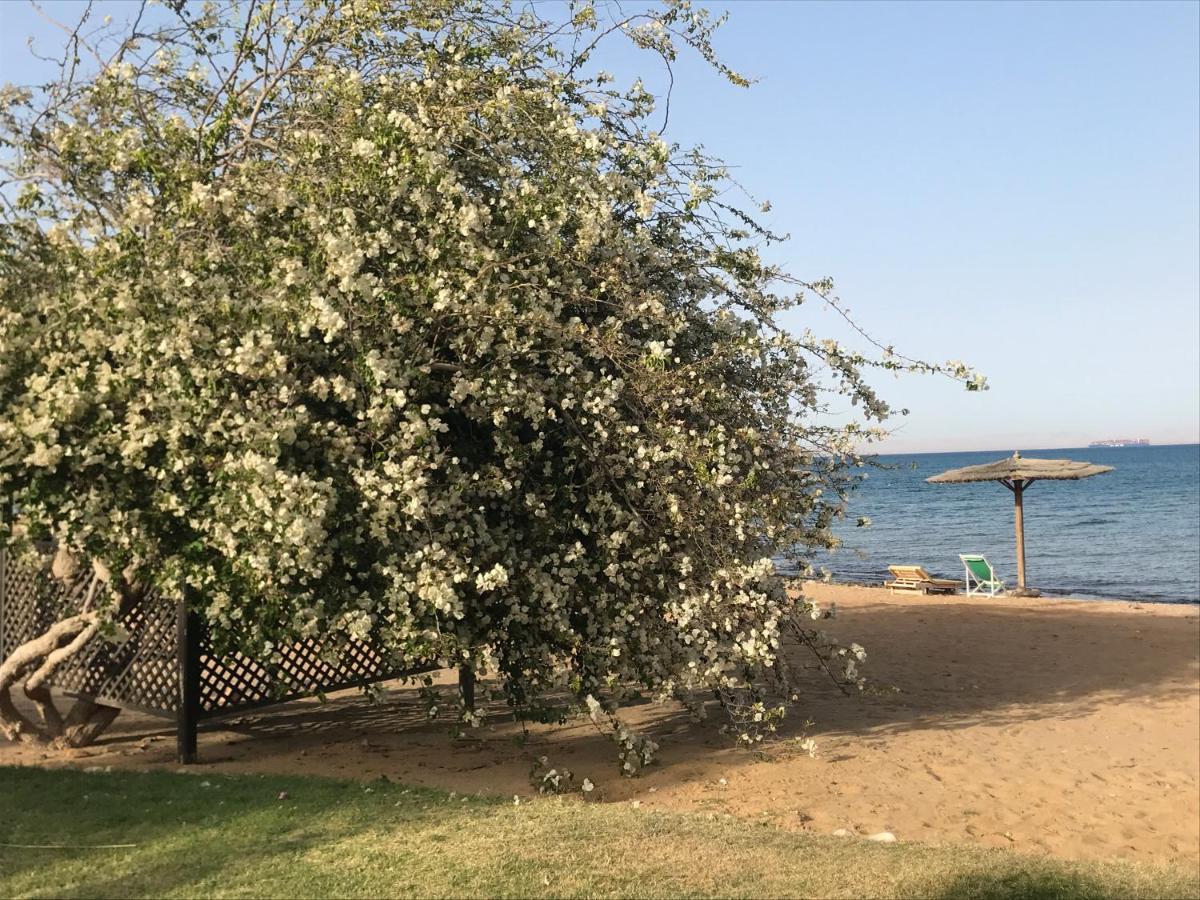Apartmán With Roof At Laguna Bay- Ain Sokhna - شالية غرفتين مكيف بالكامل بالرووف قرية لاجونا باي - العين السخنة